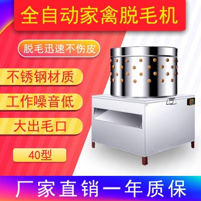 不銹鋼家禽脫毛機(jī)40型大小鳥(niǎo)類(lèi)鴿子鵪鶉雞鴨鵝電動(dòng)打毛機(jī)廠(chǎng)家直銷(xiāo)