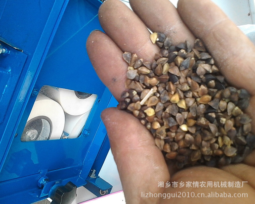 三膠輥礱谷機也可為蕎麥剝殼