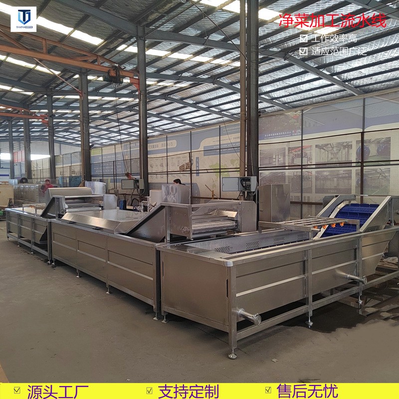 辣椒清洗機(jī) 不銹鋼果蔬氣泡清洗流水線 葉類蔬菜清洗設(shè)備