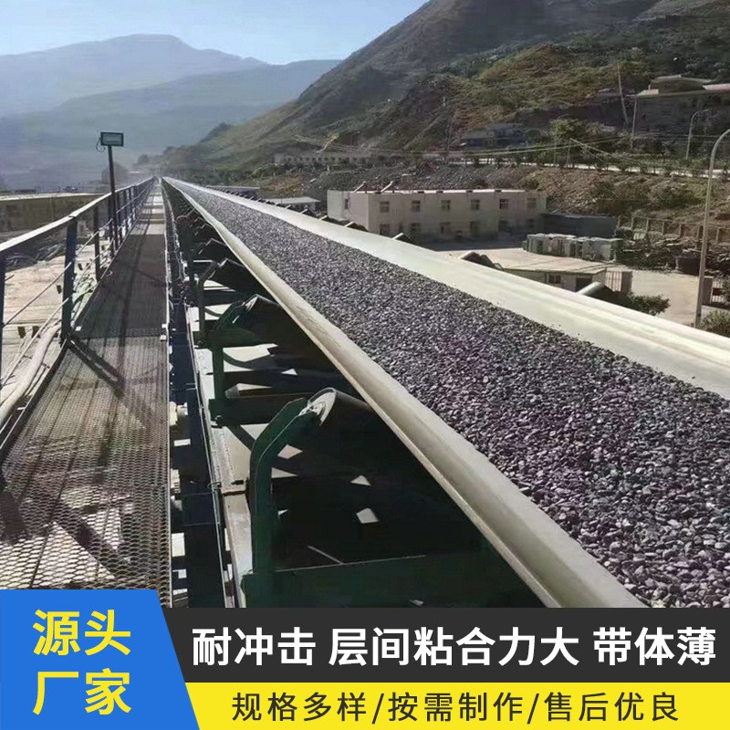 廠家供應(yīng)尼龍橡膠輸送帶尼龍輸送帶運(yùn)輸機(jī)器傳送帶大傾角輸送帶