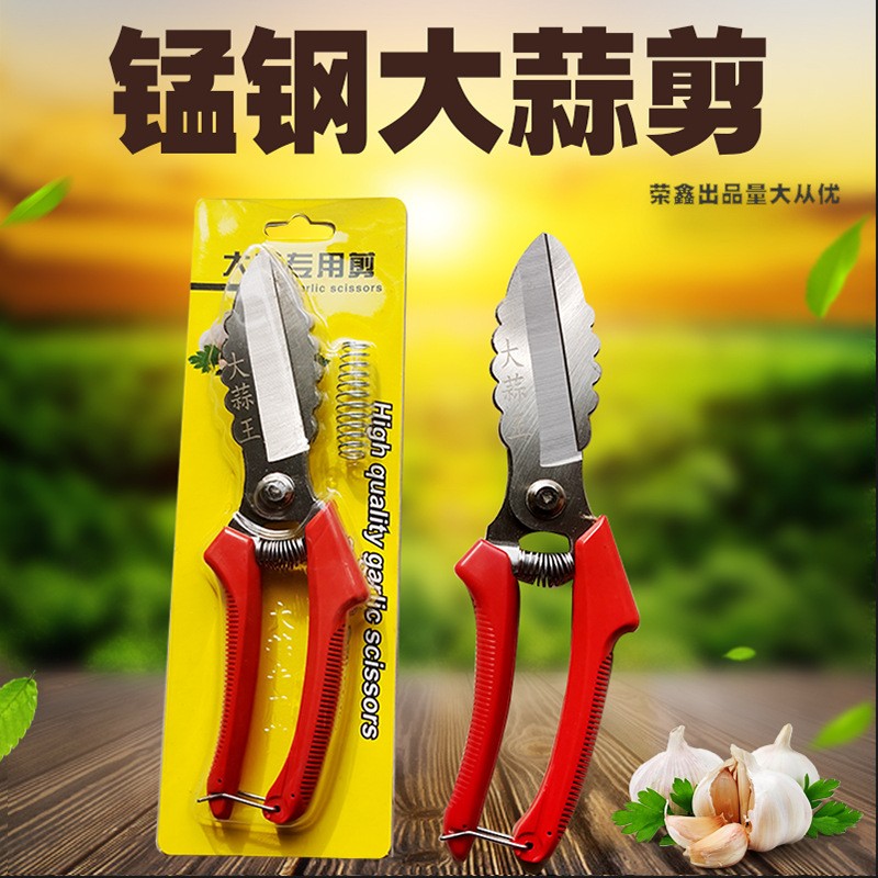 農(nóng)用工具大蒜剪刀廠家65錳鋼白頭剪洋蔥蒜胡頭苗根莖大頭蒜剪子
