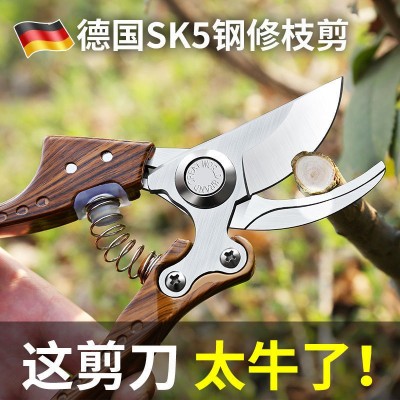園林修枝剪園藝修剪樹(shù)枝剪梳果修果樹(shù)剪技修花剪刀省力粗枝剪子