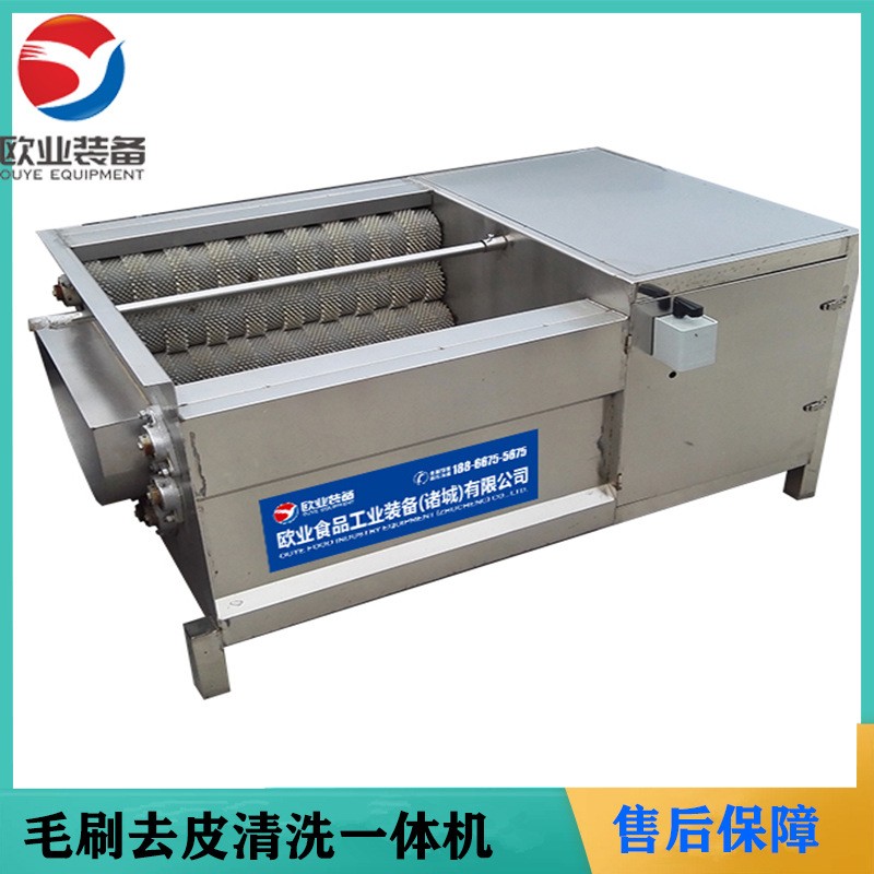 歐業(yè)毛刷清洗機(jī) 芋頭去皮機(jī) 全自動(dòng)小型蓮藕脫皮機(jī)