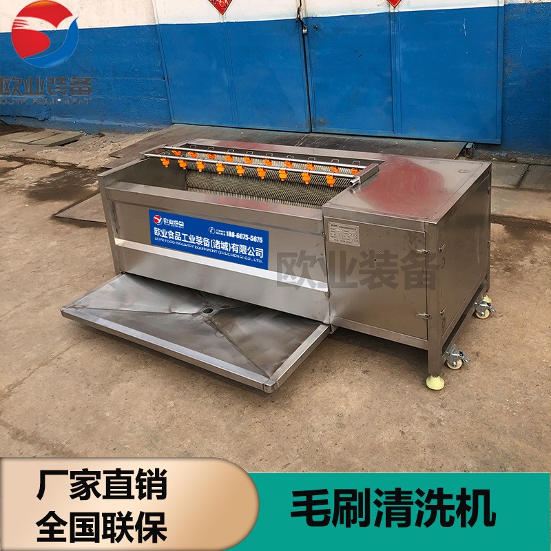 廠家生產(chǎn)嫩姜鮮姜去皮清洗機(jī) 304不銹鋼毛輥清洗機(jī) 洗姜機(jī)