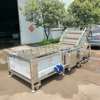 商用果蔬網(wǎng)帶氣泡清洗機(jī) 板栗堅(jiān)果加工去雜設(shè)備 噴淋式凈菜流水線