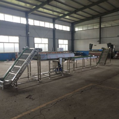 全自動毛豆清洗機(jī) 洗毛豆機(jī)器 質(zhì)量保證 舉報(bào)