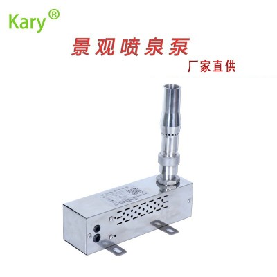 噴泉泵 DC24v景觀音樂(lè)噴泉泵 無(wú)刷不銹鋼直流旱噴波光噴泉大流量