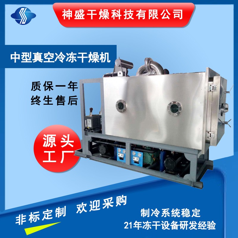 調(diào)味品方便食品冷凍干燥機(jī) 大型水果蔬菜低溫冷凍干燥機(jī)廠家現(xiàn)貨