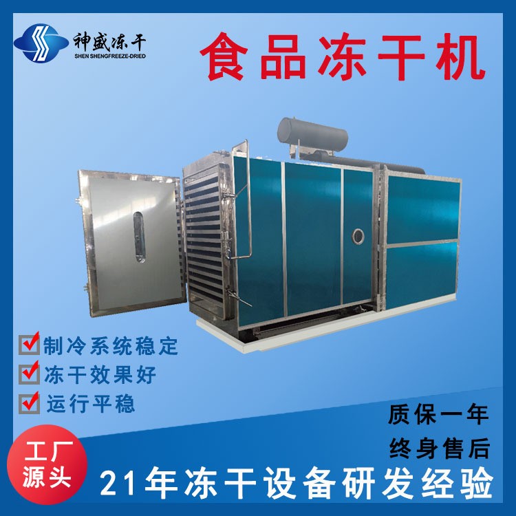 現(xiàn)貨100平商用食品凍干機(jī) 果蔬低溫凍干設(shè)備 寵物食品真空凍干機(jī)