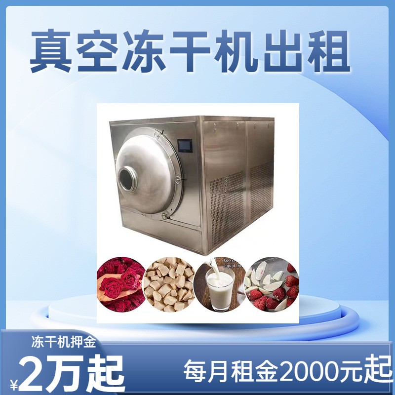 出租30平真空凍干機 蔬菜干食品類設(shè)備 FD低溫凍干機線