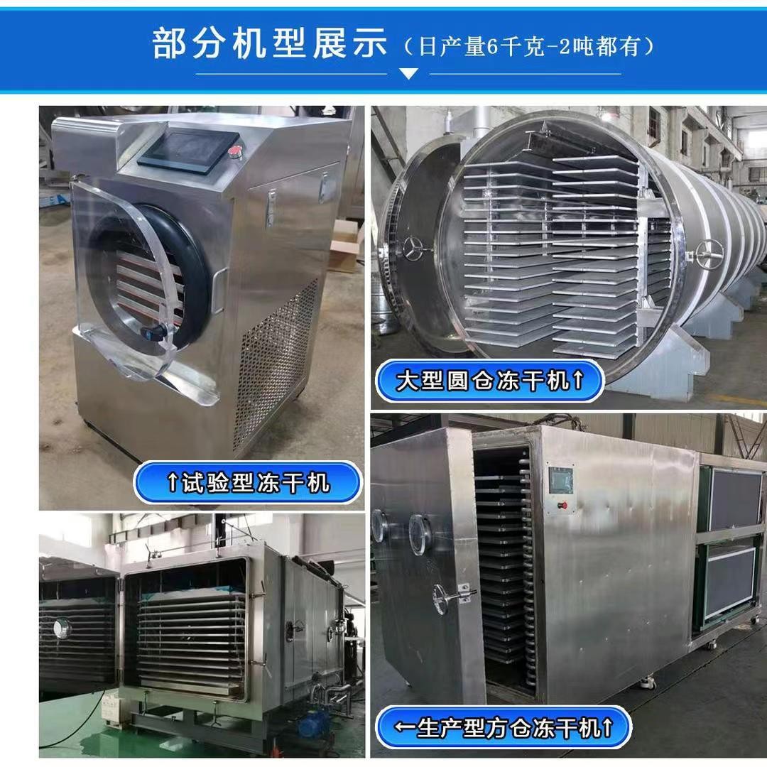 商用凍干機大中小型食品果蔬草藥真空凍干設(shè)備低溫式真空冷凍干燥