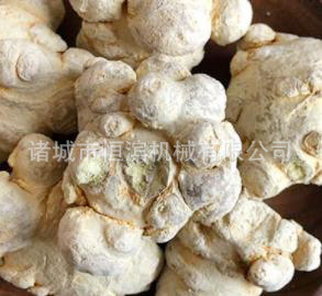 22308ad7a23bf430a3b4627be82f3e