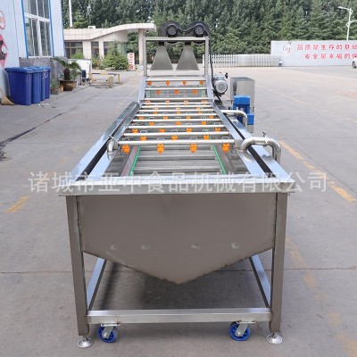 果蔬氣泡清洗機(jī)鮮果處理機(jī)氣泡清洗機(jī) 果蔬清洗機(jī) 高壓噴淋清洗機(jī)