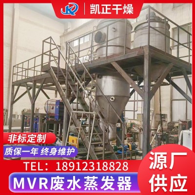 氯化鈉廢水蒸發(fā)器,氯化銨污水蒸發(fā)結晶器,硫酸鈉廢液蒸發(fā)濃縮器