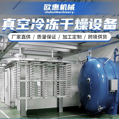 食材凍干機 食品冷凍真空銀耳真空冷凍干燥 果蔬凍干設備長久保存