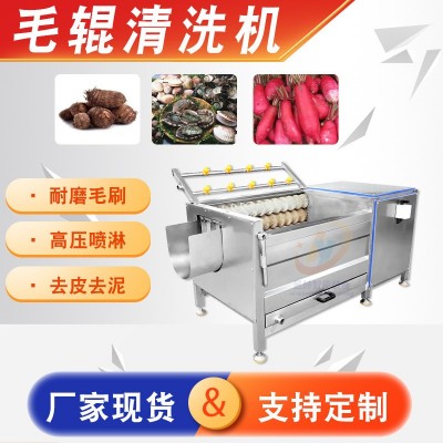 根莖果蔬毛輥清洗機(jī) 全自動(dòng)土豆去皮清洗機(jī) 小龍蝦去泥沙清洗機(jī)