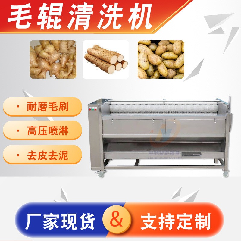 全自動大型蔬菜生姜土豆清洗去皮設(shè)備 海蠣子生蠔去泥毛輥清洗機(jī)