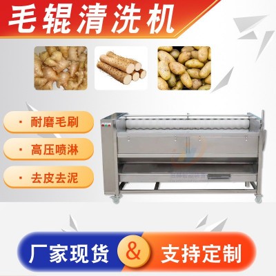 全自動(dòng)大型蔬菜生姜土豆清洗去皮設(shè)備 海蠣子生蠔去泥毛輥清洗機(jī)