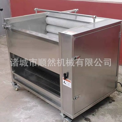 土豆去皮毛輥清洗機(jī)全自動(dòng)紅薯清洗去皮機(jī)大姜蘿卜毛輥清洗設(shè)備