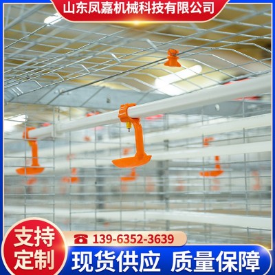 廠家供應(yīng)肉雞鴨養(yǎng)殖設(shè)備 全自動肉雞籠 大規(guī)模養(yǎng)殖雞籠 養(yǎng)雞設(shè)備