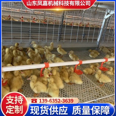現(xiàn)貨供應(yīng)籠養(yǎng)設(shè)備 農(nóng)業(yè)養(yǎng)殖機(jī)械肉鴨籠 鴨子籠養(yǎng)殖場用的肉鴨籠
