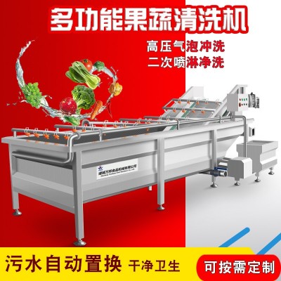 廠家供應(yīng)燈泡茄清洗機 凈菜加工小青瓜清洗機 蔬菜加工流水線