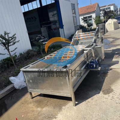 果蔬氣泡清洗機(jī) 多功能蔬菜清洗機(jī) 小白菜噴淋式洗菜機(jī)