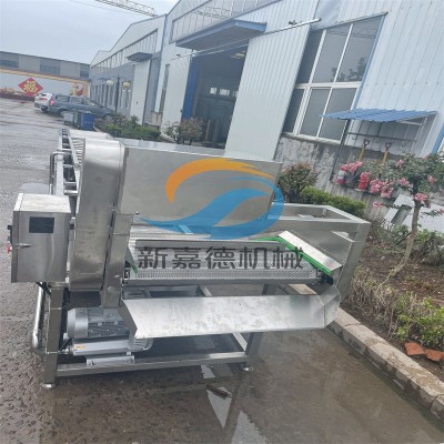 果蔬清洗機(jī) 嘉德直供預(yù)制菜清洗設(shè)備 噴淋式氣泡清洗流水線
