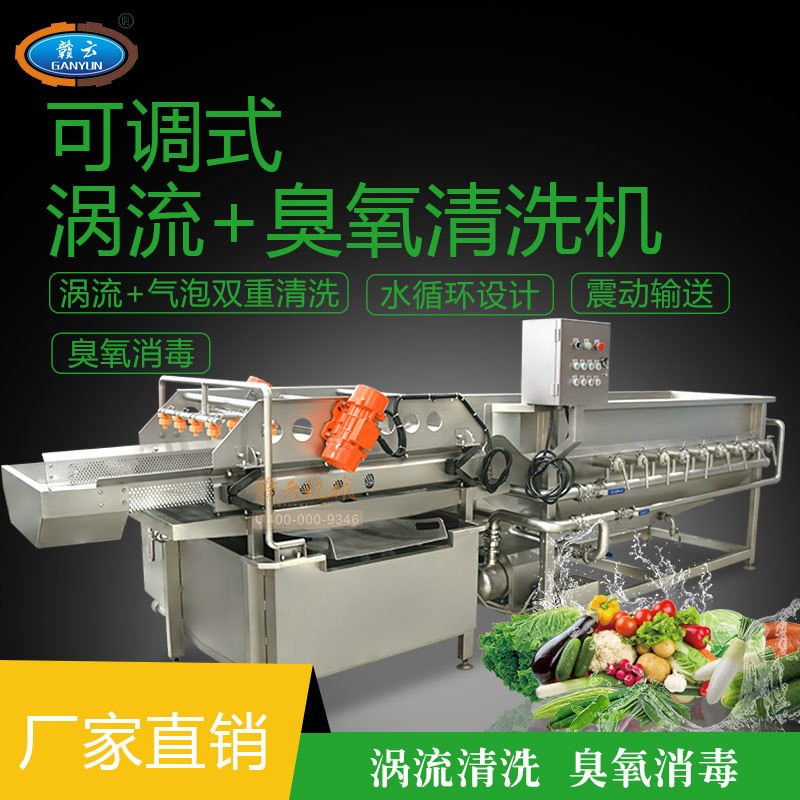 渦流震蕩清洗機(jī) 全自動蔬菜清洗機(jī) 流水線洗菜機(jī) 臭氧氣泡洗菜機(jī)