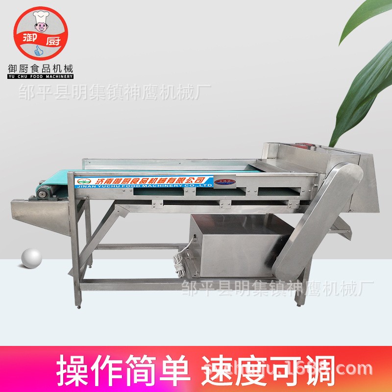 廠家直供商用蘑菇切片機(jī) 輸送帶式滾刀切菜機(jī) 蘑菇鮮海帶切絲機(jī)