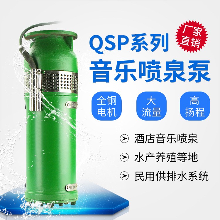 QSP鑄鐵噴泉泵不銹鋼 小區(qū)景觀音樂噴泉潛水泵QSP噴泉專 用潛水泵