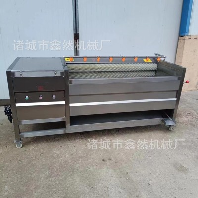 全自動(dòng)土豆去皮清洗機(jī)胡蘿卜毛輥清洗設(shè)備蓮藕去皮清洗機(jī)