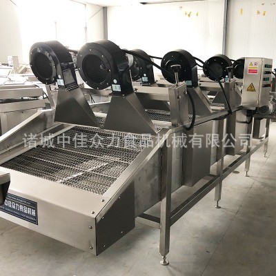 熱銷馬鈴薯 胡蘿卜 根莖類蔬菜氣泡清洗機 清洗農(nóng)藥殘留泥土污漬