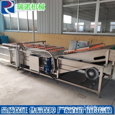 全自動(dòng)蔬菜清洗流水線 食品果蔬翻滾氣泡清洗機(jī) 凈菜加工成套設(shè)備