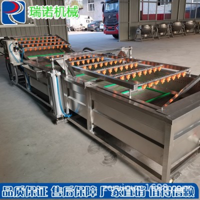 瑞諾生產(chǎn)全自動(dòng)海產(chǎn)品噴淋式配套清洗流水線 果蔬氣泡清洗機(jī)