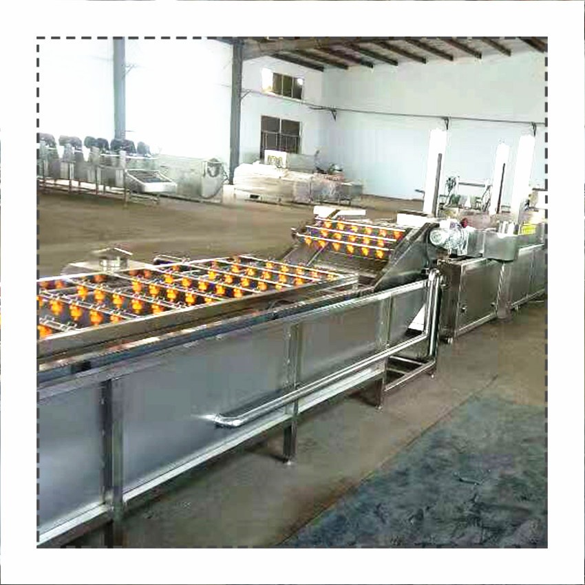 廠家生產(chǎn)果蔬清洗機 桑葉清洗機 大白菜辣椒氣泡噴淋清洗機