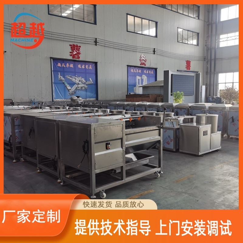 鮮核桃清洗機(jī) 胡桃碧根果清洗機(jī) 毛輥清洗去皮設(shè)備 土豆清洗機(jī)