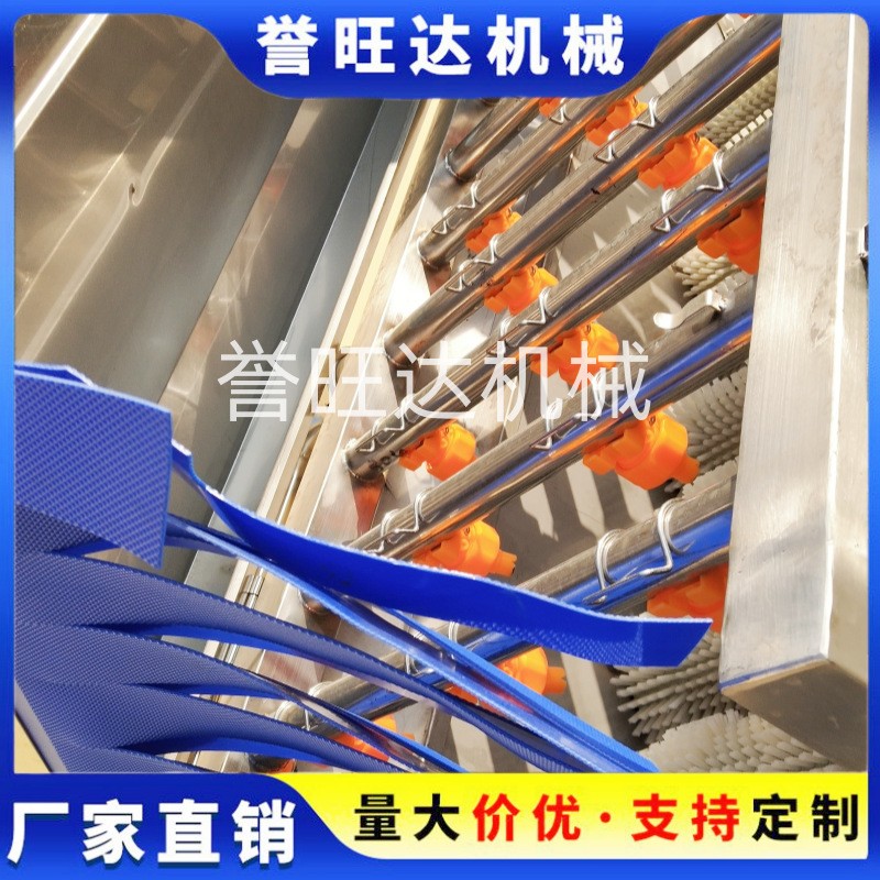 冰糖橙清洗風(fēng)干去水打蠟流水線 柑橘清洗流水線 汽泡洗橘子機器