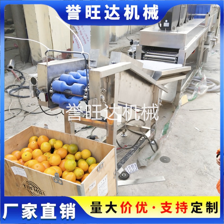 節(jié)水型果蔬汽泡清洗機 汽泡橙子清洗機 四川椪柑循環(huán)水毛刷清洗機