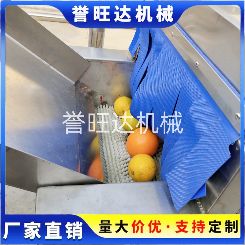 山竹橙子清洗機 自動鼓泡水果清洗機 小型打蠟分級風(fēng)干洗臍橙機