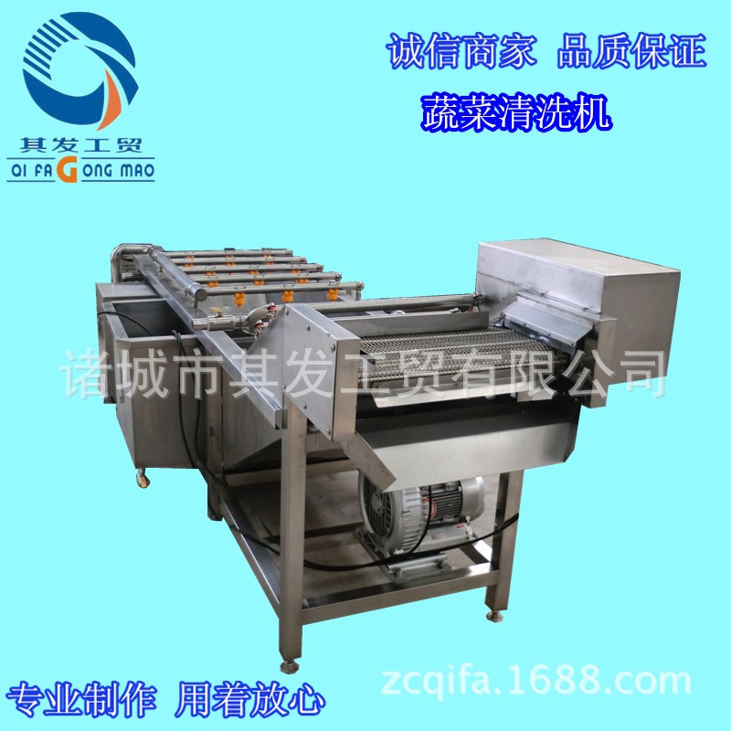 諸城市其發(fā)工貿(mào)蔬菜清洗風(fēng)干機 氣泡水浴清洗設(shè)備 蔬菜清洗機價格