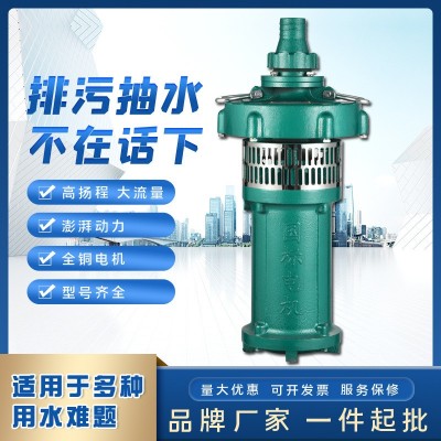 人民QY潛水電泵 三相充油式園林排灌大流量油浸泵高揚(yáng)程農(nóng)用泵