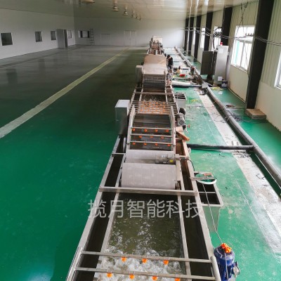 多功能臭氧去農(nóng)殘洗菜機 預(yù)制菜加工設(shè)備 果蔬清洗機