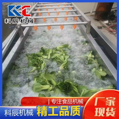 商用玉米氣泡清洗機(jī) 高壓噴淋大姜去泥清洗機(jī) 清洗漂燙風(fēng)干流水線