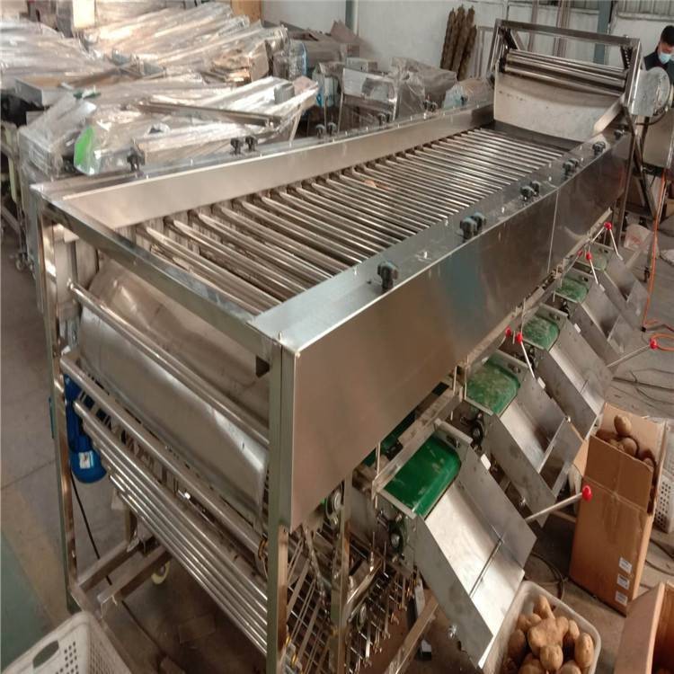 盛德利 果蔬加工設(shè)備 圣女果大棗核桃在線分級(jí)機(jī)