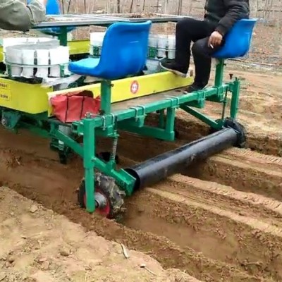 娃娃菜移栽機(jī) 一機(jī)多用 牽引式栽苗機(jī) 拖拉機(jī)牽引