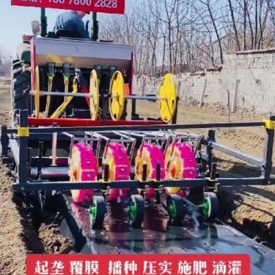 東樂(lè)制造多功能蔬菜移栽機(jī) 紅薯 甘藍(lán) 辣椒移栽設(shè)備 性能穩(wěn)定操作簡(jiǎn)單