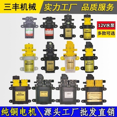 12V電動(dòng)噴霧器水泵高壓智能回流隔膜雙核水泵電動(dòng)噴霧器配件批發(fā)