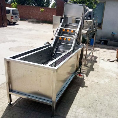 果蔬清洗機(jī) 商用水果蔬菜清機(jī) 高壓噴淋式藍(lán)莓清洗機(jī)清洗設(shè)備