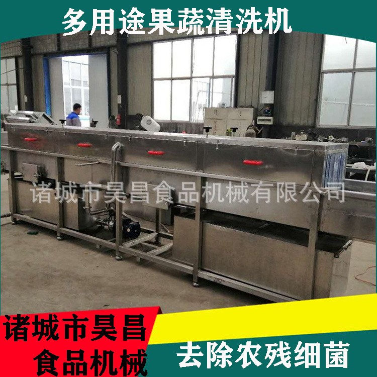 果蔬清洗機商用 爆款中藥材高壓噴淋旋流氣泡 多功能節(jié)能高效清洗